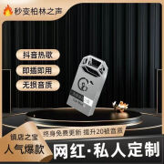 CLYE车载音乐带歌曲视频无损高音质大容量64G高兼容汽车听歌 PP袋包装+转接头*2+u盘 4GB 空u盘（超高兼容