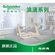 施耐德（Schneider）原装 施耐德 LAD4TBDL 浪涌模块 双向峰值限制二极管型24V DC 原装 施耐德 LAD4TBDL 浪涌模块