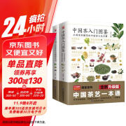 【自营包邮】中国茶入门图鉴+图解本草纲目药茶养生速查全书（套装2册）茶经 茶道 茶艺