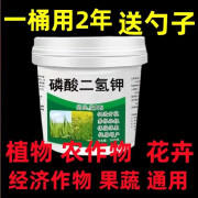 磷酸二氢钾化肥有机肥种菜种花蔬菜果树花卉专用肥料花肥 透明10斤大桶装