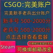 csgo完美账户新手老兵普通天梯小号低分炸鱼号 完美平台可换绑手机改密： 完美新手出分号-300-1000-D