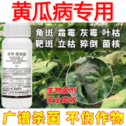 黄瓜专用药苯甲吡唑酯果树专用药黑斑病花卉植物农药杀菌剂农用 500g（500克*1瓶）