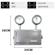 LANDSAIL LEDLED防爆应急灯疏散指示灯防爆标志消防通道安全出口指示牌二 防爆双头应急灯【220V】B级