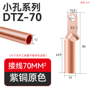 威廉顿小头铜鼻子窄头铜接头空开接线端子塑壳断路器铜线耳dt加厚铜鼻子 小头DTZ-70紫铜原色