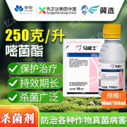 先正达（SYNGENTA）马威士阿米西达嘧菌酯白腐叶霉叶斑炭疽晚疫黑星病杀菌剂 马威士250克/L嘧菌酯10毫升5袋