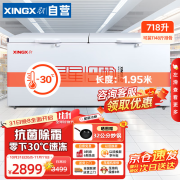 星星（XINGX）冰柜商用大容量卧式冰箱 全冷冻单温冷柜 超市酒店保鲜柜 718L一级能效 BD/BC-728GE