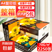 心天逸心天逸a4纸打印纸70g/80g复印纸办公用纸一箱  70克打印机纸  A4作业打印纸草稿纸白纸整箱批发 70g实惠装-5包[整箱2250张]