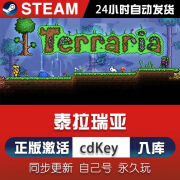 泰拉瑞亚 steam正版激活入库 全DLC多人联机独享畅玩 激活码（激活码）本体+DLC+联机