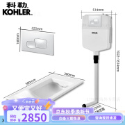 科勒（KOHLER）蹲便器家用蹲坑厕所陶瓷大便器便池蹲厕卫生间防臭便盆20443T官方 【后进后排】K-20443T-0+隐藏式