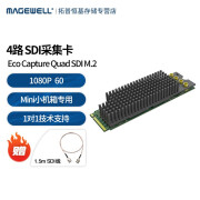 MAGEWELL 美乐威 Eco Capture Quad SDI M.2 高清采集卡 4路视频录像 Eco Capture Quad SDI M.2