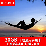 印尼本土电话卡巴厘岛电话卡印尼手机卡4g上网卡流量卡TELKOMSEL 5天 每天2GB 送卡针