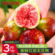 鲜啡无花果3斤鲜果红皮孕妇水果应当季青红皮2/1斤整箱节日送礼 【畅享装】净重1000g