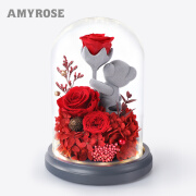 AMYROSE 永生花玫瑰花礼盒七夕情人节礼物生日礼物结婚纪念日送女友爱人 求爱熊-红（玻璃罩款）