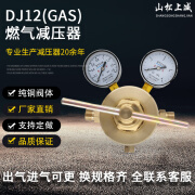 自玺DJ12(GAS) 燃气减压器调压阀DJ12(OXY) 切割氧减压器调压 DJ12(OXY) 切割氧减压器