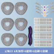 CLCEY适配扫地机器人J1J2J3J4拖布滤网尘盒拖地模块配件尘袋清洁剂 (J3专用)6片加厚拖布+4个白边刷