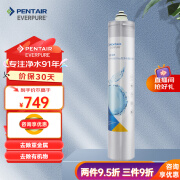 爱惠浦（Everpure） 主滤芯EVP-6000PLUS滤芯 家用厨下式 净水器替换芯 EVP-6000PLUS主滤芯