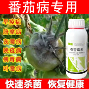 2%春雷霉素 番茄叶霉病溃疡青枯软腐病灰霉病炭疽病农药杀菌剂 100g