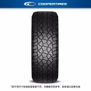 固铂（Cooper）固铂（Cooper）越野轮胎ZEON LTZ RPO 285/50R20 116S