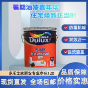 多乐士家用自刷油漆多乐士家丽安专业净味120家用环保健康内墙乳胶漆 白色