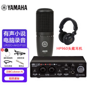 YAMAHA雅马哈 UR22C/UR28M/UR44C外置声卡混音直播K歌有声书配音喜马拉雅录音套装设备 UR22C+AKG P120专业录音套装