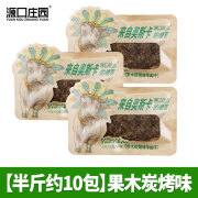 源口庄园手撕牛肉干500g沙嗲味美洲牛肉干炭烤牛肉干休闲健身零食 250g 【尝鲜半斤】果木炭烤味牛肉干