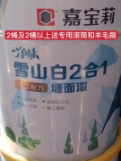 嘉宝莉漆净味雪山白二合一墙面漆家装升级版内墙乳胶漆20kg 白 20KG 18L