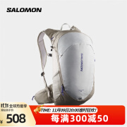 萨洛蒙（Salomon）男女款 户外运动休闲轻量透气徒步登山双肩背包 TRAILBLAZER 20 复古卡其色 C21828