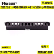 泛达（PANDUIT）1U网络理线架WMPFSE19寸机柜24口塑料水平理线器