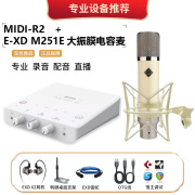 MIDIPLUS  R2 GEN II声卡主播OTG无损手机直播有声书录音话筒有声小说配音麦克风套装 R2声卡+ E-XD M251E大振膜电容麦