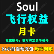 【填写Soul绑定的手机号】Soul币充值soul金币充值 需要输入验证码 soul币充值 飞行权益月卡