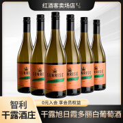 干露旭日霞多丽干白葡萄酒整箱6支 750ml*6 智利进口红酒 霞多丽整箱