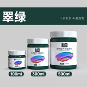 青竹小天才绘梦丙烯颜料12色100ml 丙烯画颜料手绘彩绘墙绘画画套装 美术绘画涂鸦防水颜料 翠绿 绘梦100ml