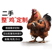 【二手95新】组装电脑酷睿i3 i5 i7高端吃鸡电竞游戏设计办公家用win7系统主机台式机 8代i7主机 机箱随机，有需求请联系客服