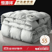 恒源祥55%白鹅绒羽绒被 秋冬季被子5.4斤 填充1500g 200*230cm浅灰