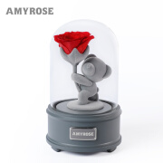 AMYROSE 玫瑰永生花小熊礼盒七夕情人节礼物表白生日礼物送女友爱人闺蜜  蓝牙灯光版-送你一朵小花花