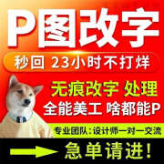 p图片处理ps修图专业PS修图PDF无痕改数字去水印抠图做图照片制作海报无痕改字p图片处理修图专业