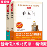 在人间我的大学高尔基正版 全套2册青少版无障碍精读版 中小学生课外阅读书籍三年级四五六年级书儿童阅读