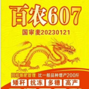 朵芮蜜百农607小麦种子丰产矮杆高抗耐旱抗倒麦子籽农科院新品种 百农607【一袋25斤】