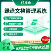 天锐绿盾云盘文档安全管理系统协作共享办公数据集中存储文件加密备份软件 单次服务