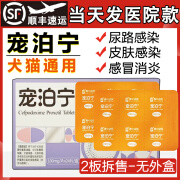 宠泊宁惠中动保宠泊宁泊肟酯片宠物猫狗感冒咳嗽呼吸道皮肤泌尿消炎药 宠泊宁【拆售2板12粒】【顺丰】