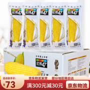 北纬47°鲜糯玉米 200g/根 黄糯白甜糯黑糯花糯水果大苞米棒整箱 【整箱】黄糯鲜玉米200g*6根