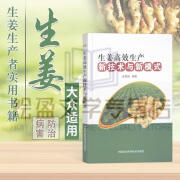 生姜高效生产新技术与新模式 图说生姜栽培生姜种植书籍 生姜高效 术大全书籍