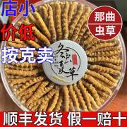 北京同仁堂【官方店i旗舰】正宗冬虫夏草虫草2根一克干货冬虫草送礼 钻石级虫草100条装2条一克