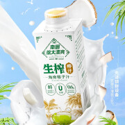 南国徐大漂亮生榨椰汁海南椰子汁蛋白饮料夏季饮品植物 600ml*6瓶