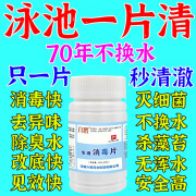 泳池消毒片杀菌除臭味家用儿童游泳池专用浴池缸澄清粉水质净化片 一瓶装【一片清澈】