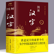 图解汉字说文解字 语言文字图解说文解字许慎 古代汉语字典 详解部首咬文嚼字细说汉字的故事画说汉字书籍