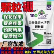 颗粒硼硼肥小麦蔬菜果树通用农用硼肥缓释型颗粒硼肥料补硼水溶肥 颗粒硼1000g*1袋