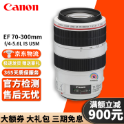 佳能 Canon 70-300II 70-300L 70-300DO 二手远摄变焦长焦镜头 EF 70-300mm L IS USM胖白 9新