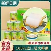 壹家椰果沙龙250g小罐正宗水果罐头果汁果粒怀旧饮料饮品即食海南特产 250g*6罐