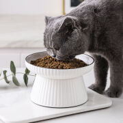 萌柒多猫碗陶瓷大口径竖纹图案宠物碗猫咪猫粮碗大号狗狗食盆狗粮食用品 大号竖纹食盘（鱼骨）